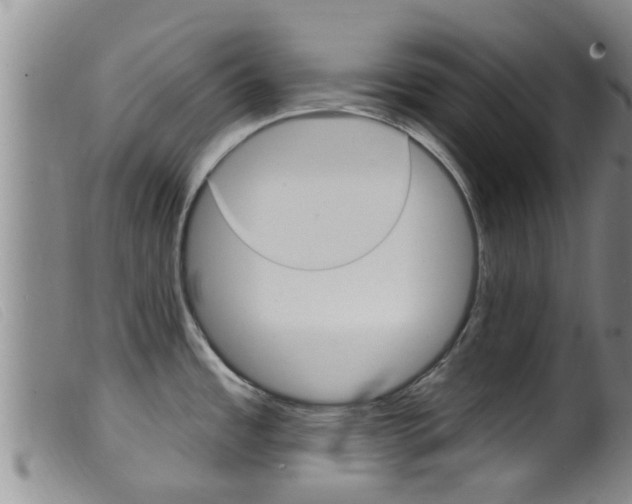 X0000099961485200805231014