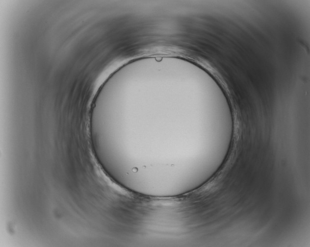 X0000099961486200805231014