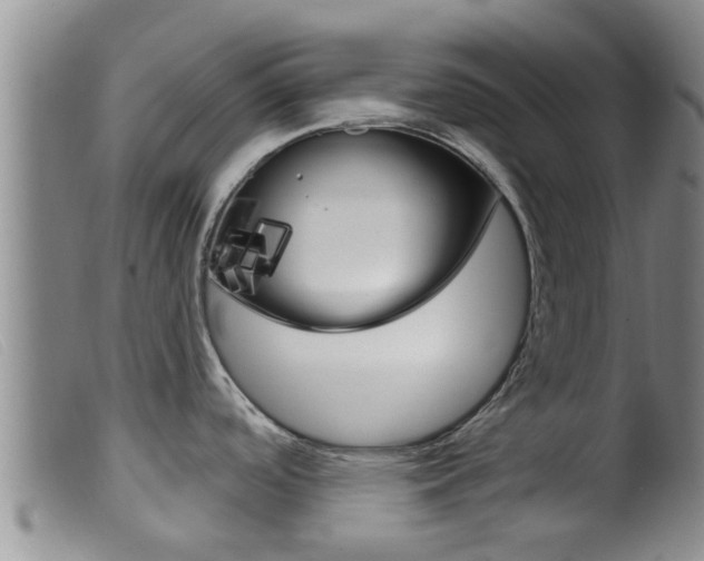 X0000099961488200805231014