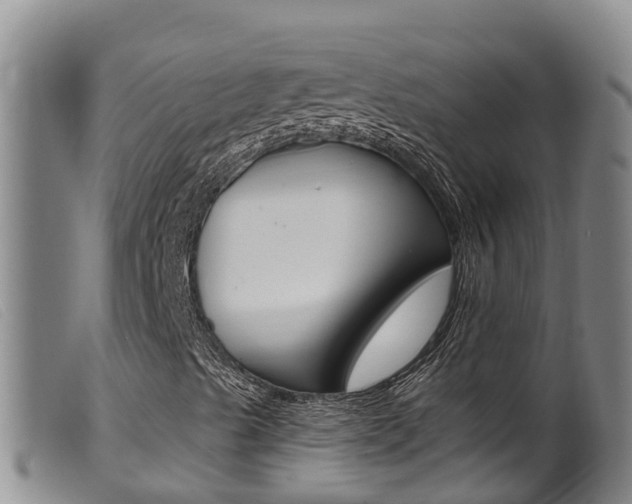 X0000099961489200805231013