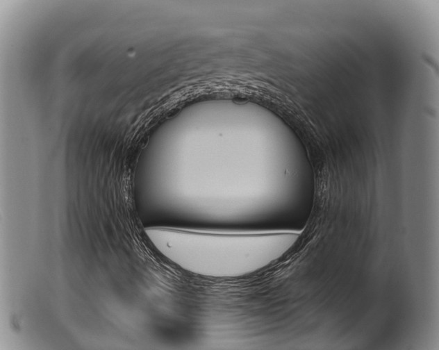 X0000099961490200805231013