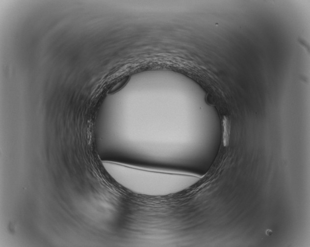 X0000099961491200805231013