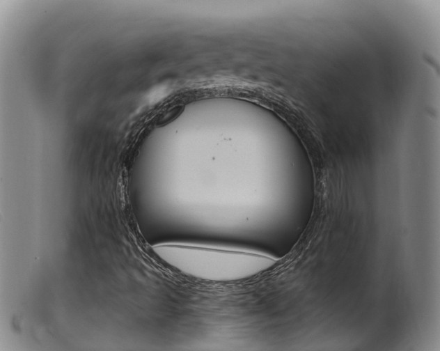 X0000099961493200805231013