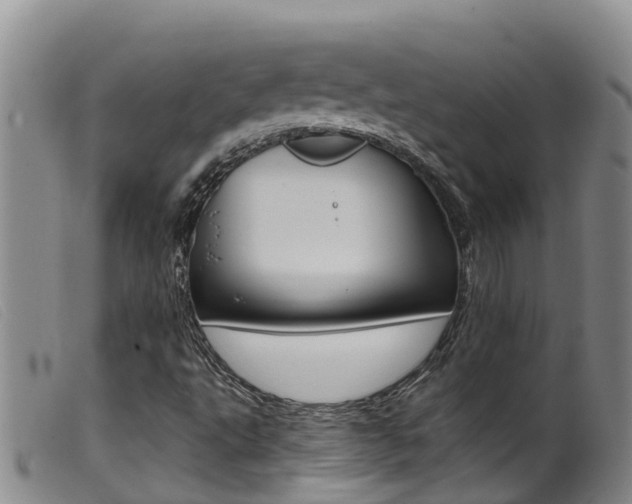 X0000099961495200805231013