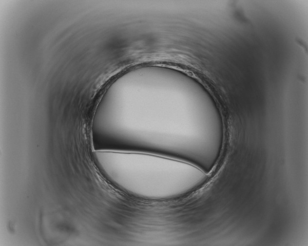 X0000099961497200805231013