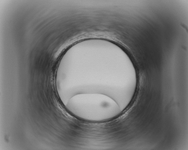 X0000099961498200805231013