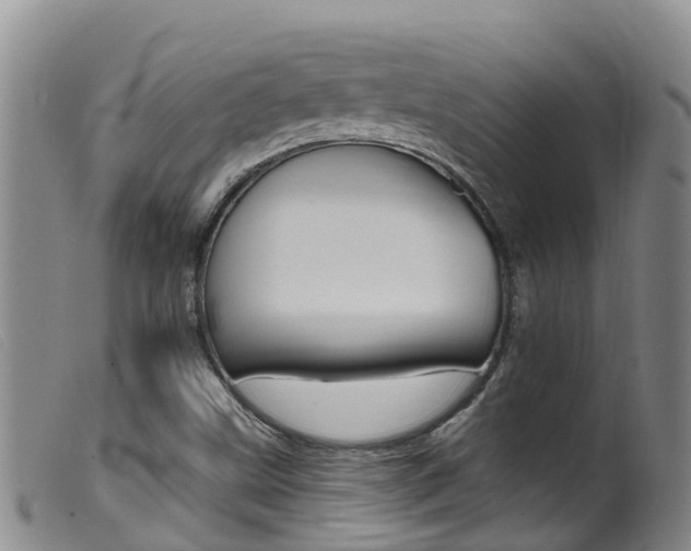 X0000099961499200805231013