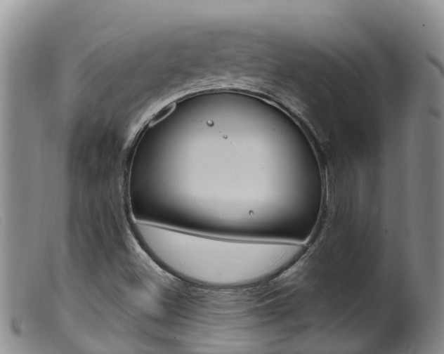 X0000099961500200805231013