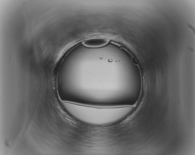 X0000099961501200805231013
