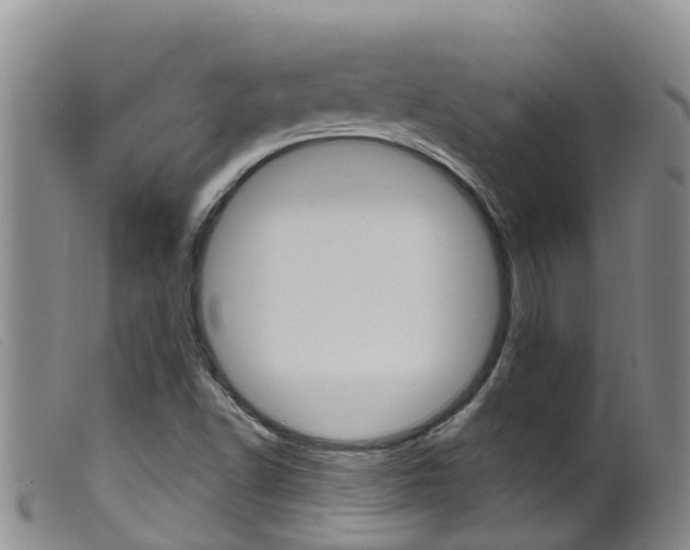 X0000099961502200805231013