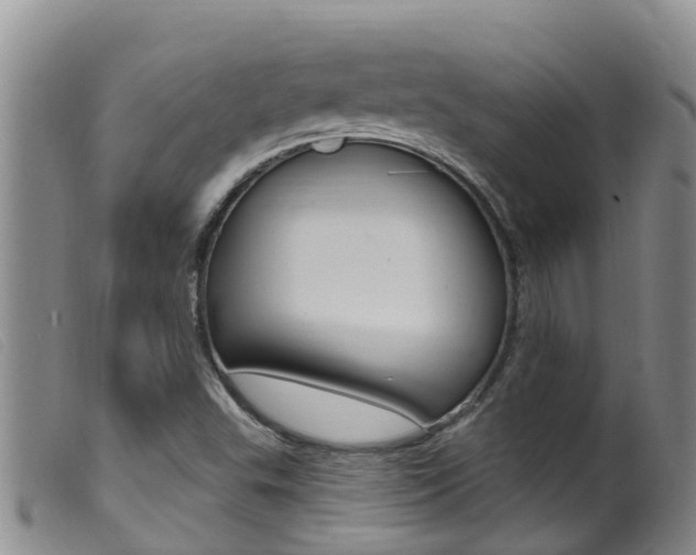 X0000099961503200805231013