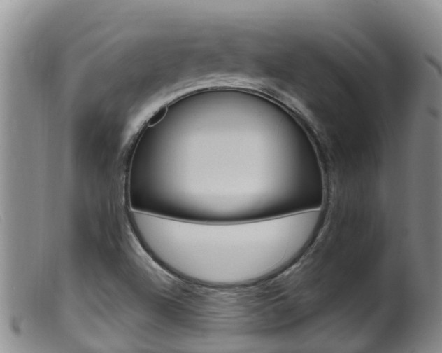 X0000099961504200805231013