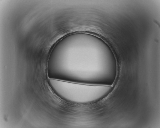 X0000099961505200805231013