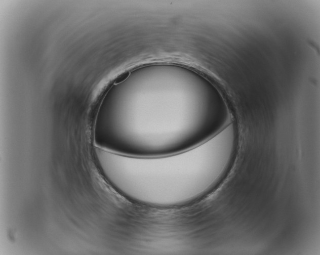 X0000099961506200805231013