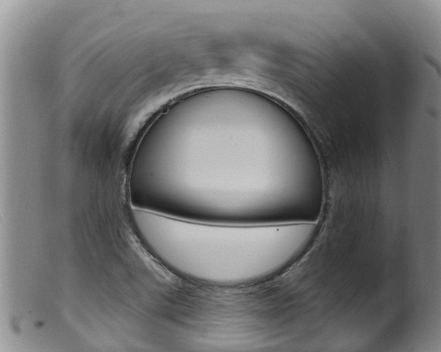 X0000099961507200805231013