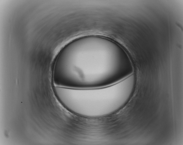 X0000099961508200805231013