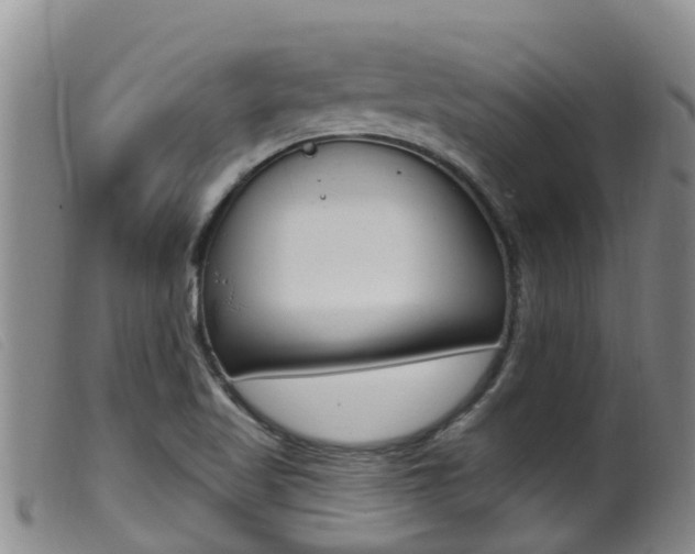X0000099961509200805231013