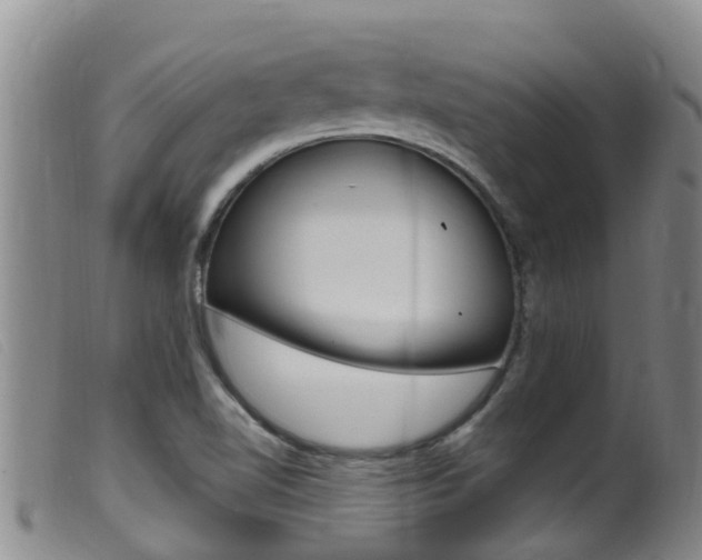 X0000099961510200805231014