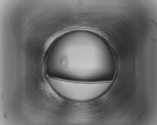 X0000099961511200805231014