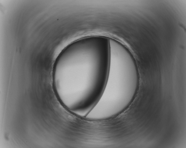 X0000099961512200805231014