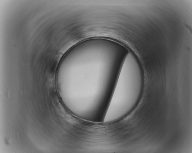 X0000099961513200805231014