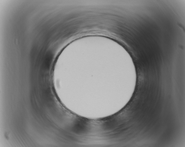X0000099961514200805231014