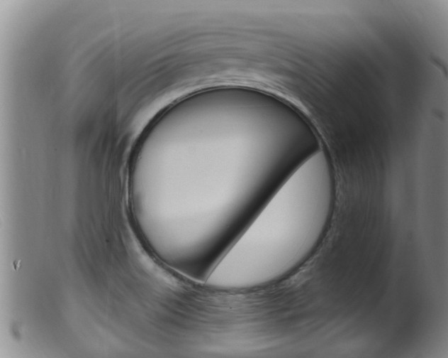 X0000099961515200805231014
