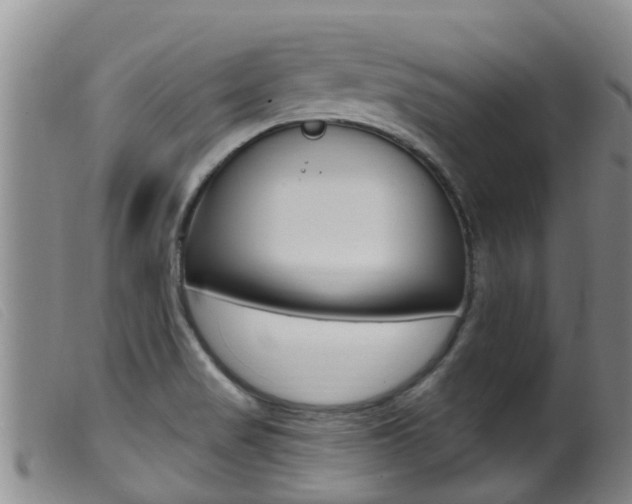 X0000099961517200805231014