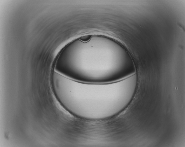 X0000099961518200805231014