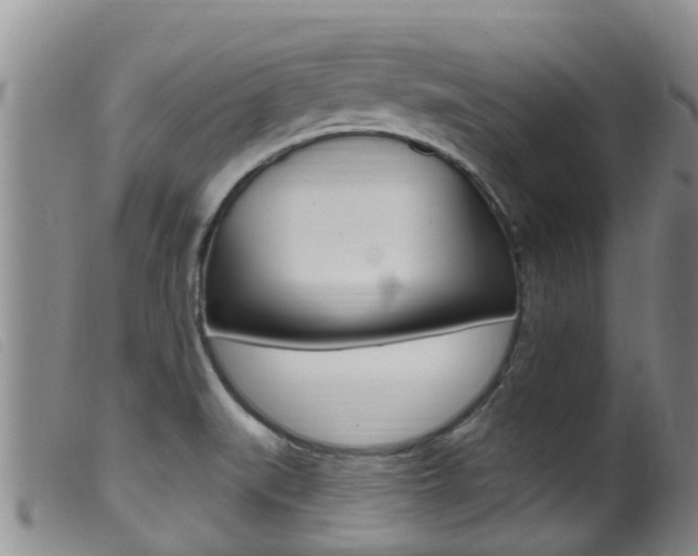 X0000099961519200805231014