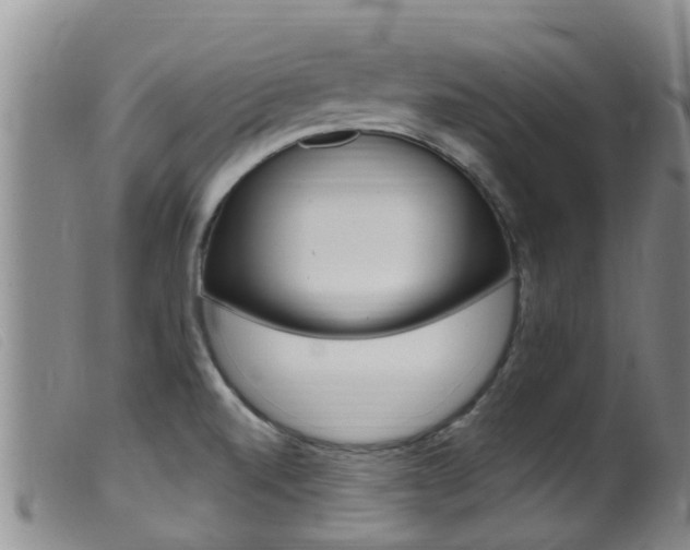 X0000099961520200805231014