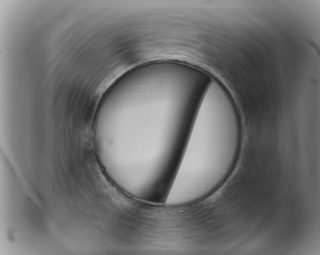 X0000099961521200805231014