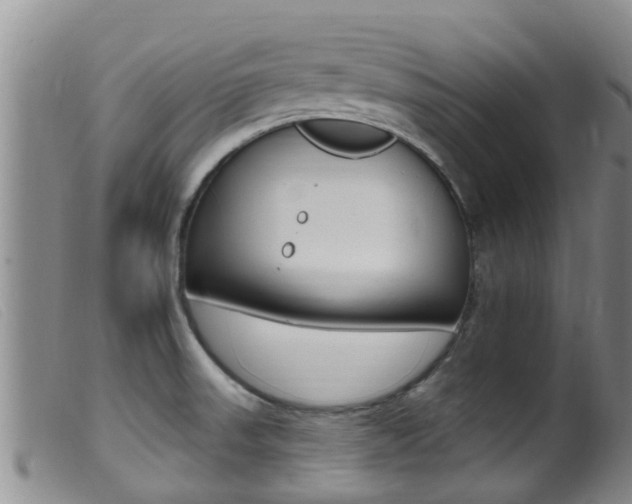 X0000099961523200805231014