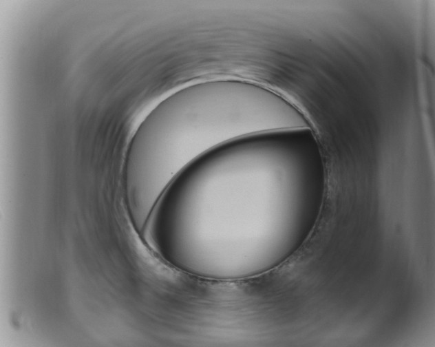 X0000099961524200805231014