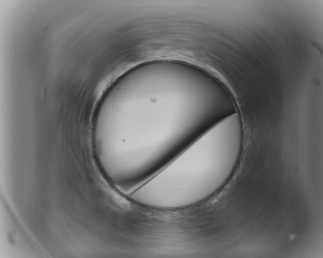 X0000099961525200805231014
