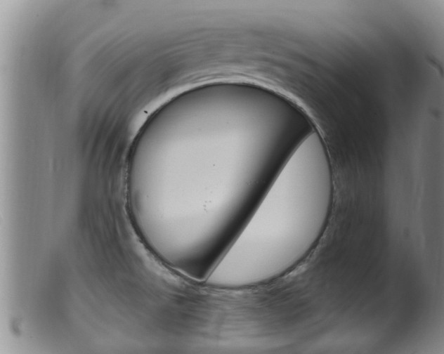 X0000099961526200805231014
