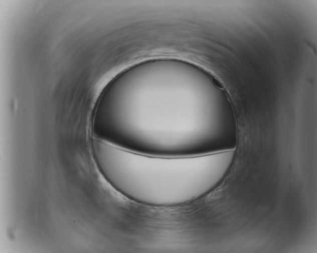 X0000099961527200805231014