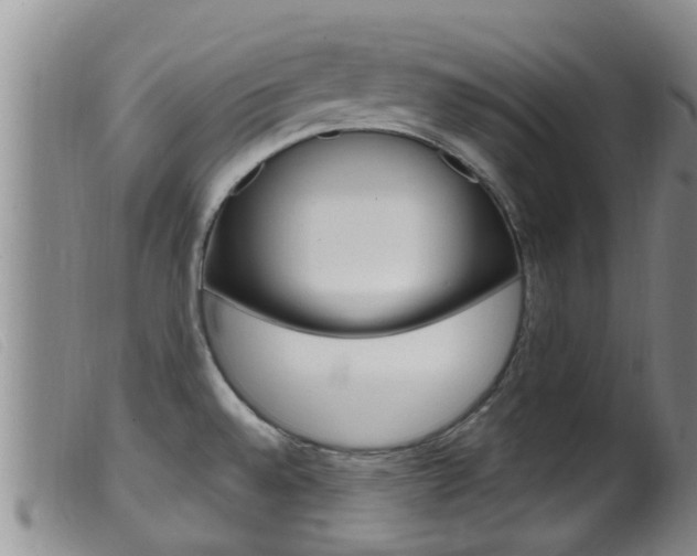 X0000099961528200805231014