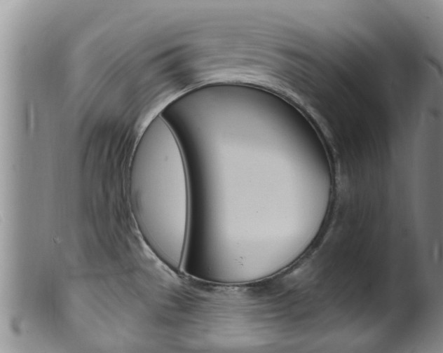 X0000099961529200805231014