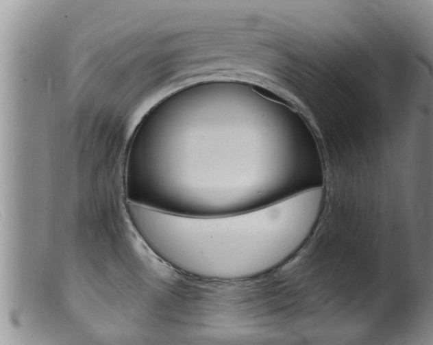 X0000099961530200805231014