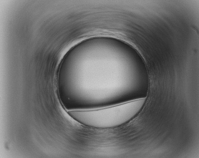 X0000099961531200805231014