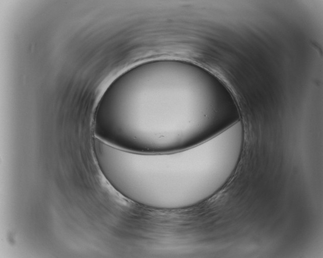 X0000099961532200805231014