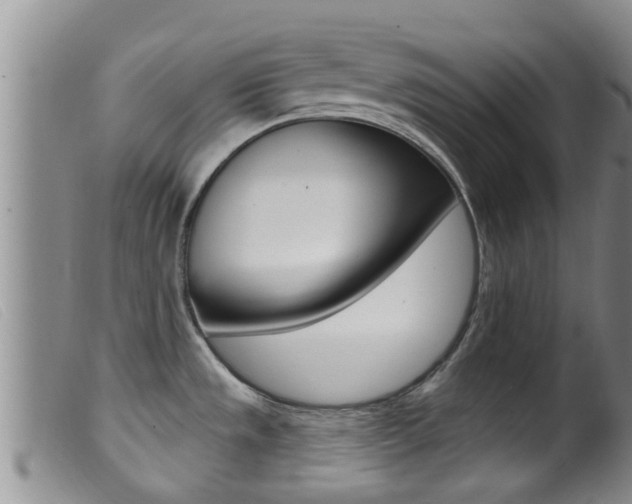 X0000099961533200805231014