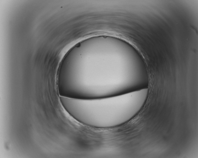 X0000099961535200805231014