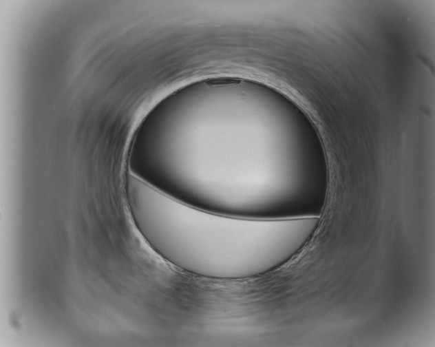 X0000099961536200805231014