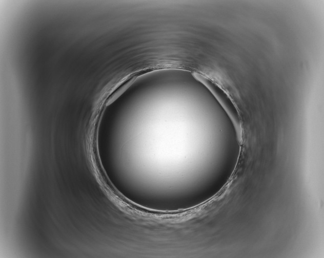X0000099960001200805231350