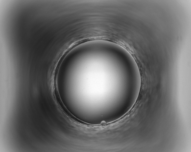 X0000099960002200805231350