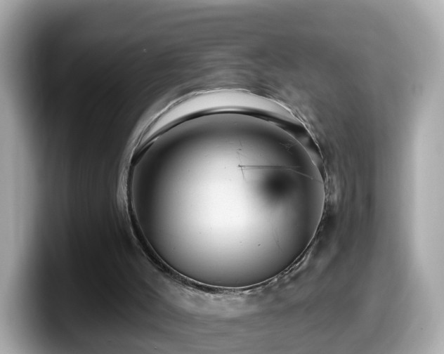 X0000099960004200805231350