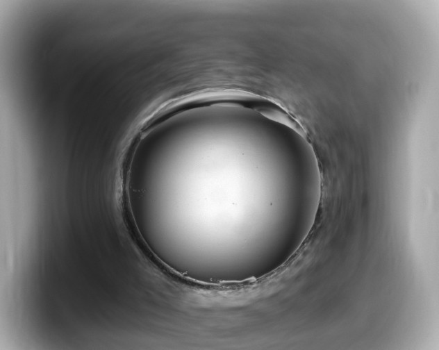 X0000099960005200805231350