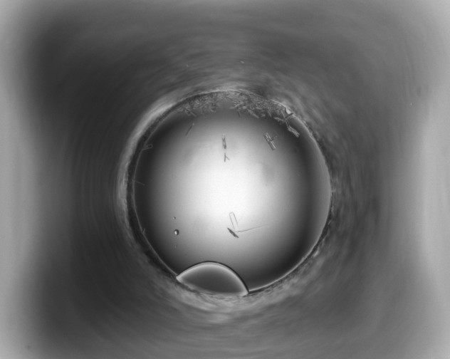 X0000099960006200805231350